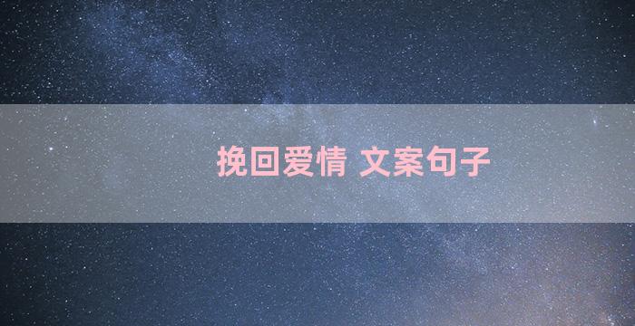 挽回爱情 文案句子